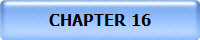 CHAPTER 16
