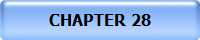 CHAPTER 28