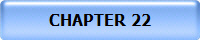 CHAPTER 22