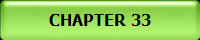 CHAPTER 33