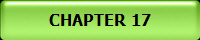 CHAPTER 17