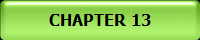 CHAPTER 13