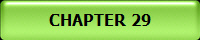 CHAPTER 29