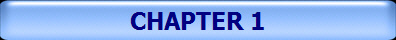CHAPTER 1
