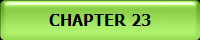 CHAPTER 23